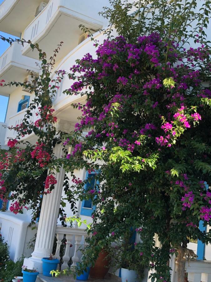 Romantika Shëngjin Exteriör bild
